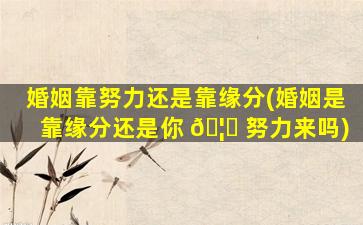 婚姻靠努力还是靠缘分(婚姻是靠缘分还是你 🦅 努力来吗)